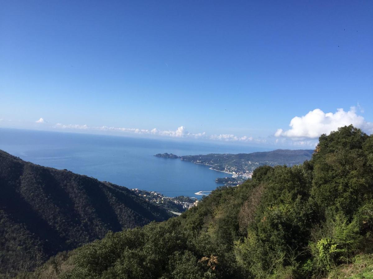 Hotel Montallegro Rapallo Exteriér fotografie