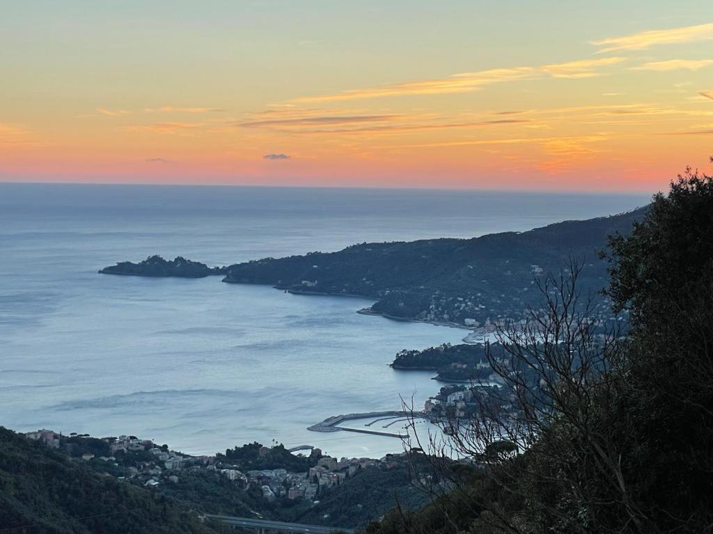 Hotel Montallegro Rapallo Exteriér fotografie