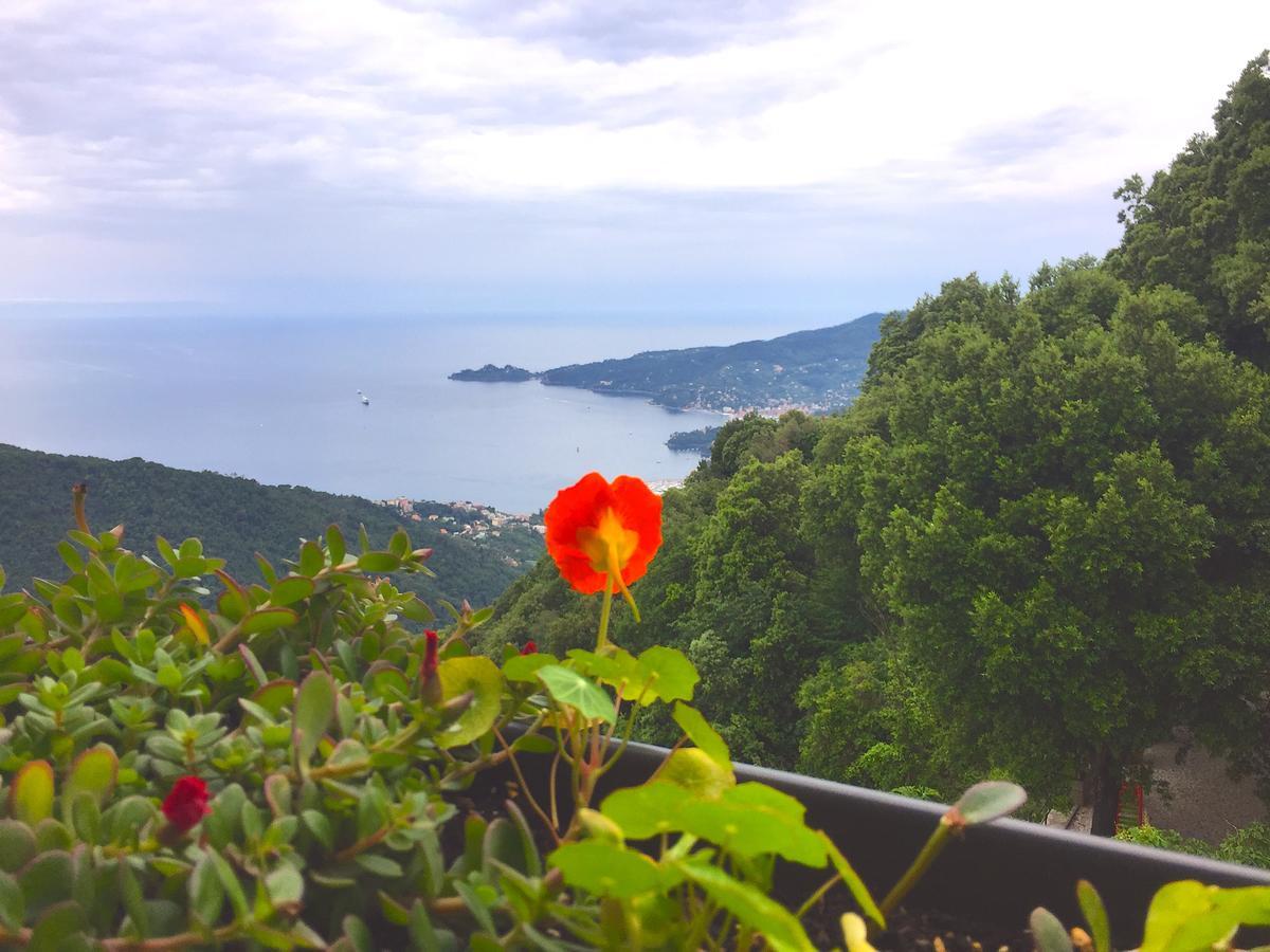 Hotel Montallegro Rapallo Exteriér fotografie